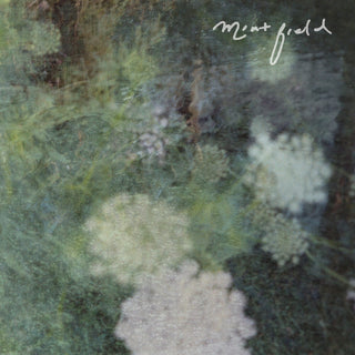 the album cover for Mint Field - Sentimiento Mundial