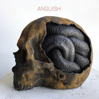 the album cover for Anguish - Anguish (Gate) [180 Gram]