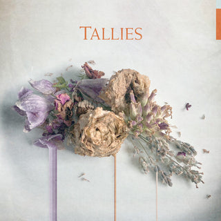 the album cover for Tallies - Tallies