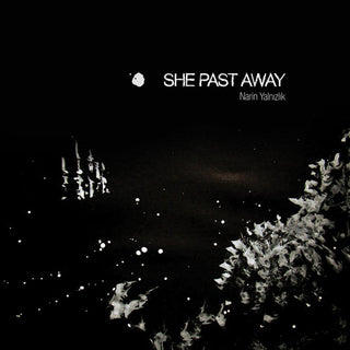 the album cover for She Past Away - Narin Yalnizlik