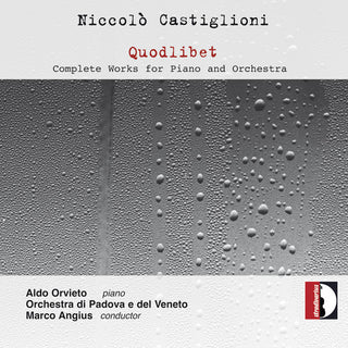 the album cover for Castiglioni / Orvieto - Quodlibet