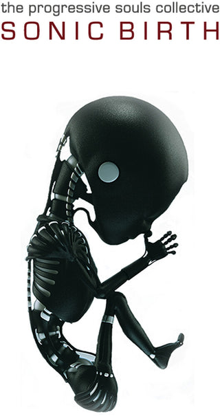 the album cover for Progressive Souls Collective - Sonic Birth