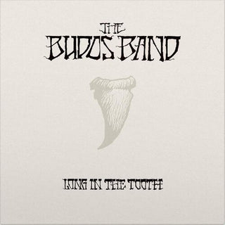 The Budos Band- Long In The Tooth