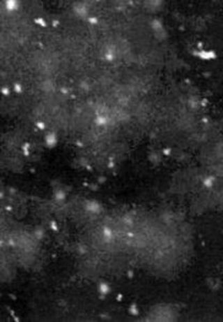 the album cover for Paysage D'hiver - Einsamkeit [Digipak]