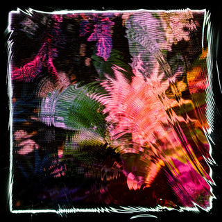 the album cover for Camila Fuchs - Kids Talk Sun