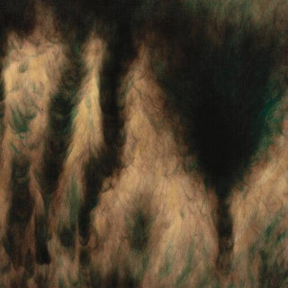 William Basinski- Lamentations (Indie Exclusive)