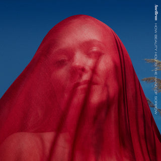 the album cover for Ane Brun - How Beauty Holds The Hand Of Sorrow
