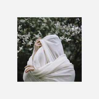 the album cover for Zola Menneoh - Longing For Belonging