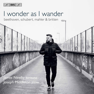 the album cover for Beethoven / Newby / Middleton - I Wonder As I Wander