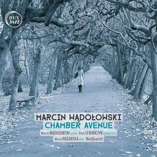 the album cover for Berthier / Wadolowski / Neoquartet - Chamber Avenue