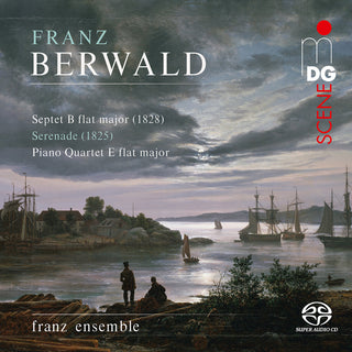 the album cover for Berwald / Franz Ensemble - Chamber Music
