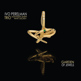 the album cover for Ivo Perelman Trio - Garden Of Jewels