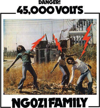 Ngozi Family- 45,000 Volts (Vinyl)