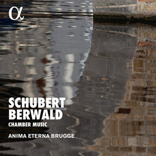 the album cover for Berwald / Brugge - Chamber Music