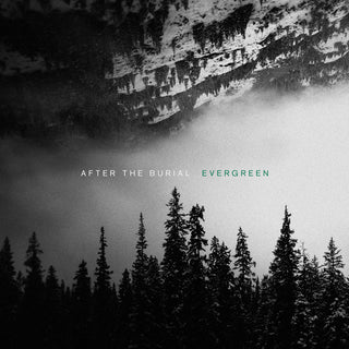 the album cover for After The Burial - Evergreen
