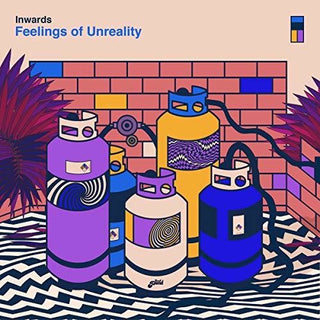 the album cover for Inwards - Feelings Of Unreality