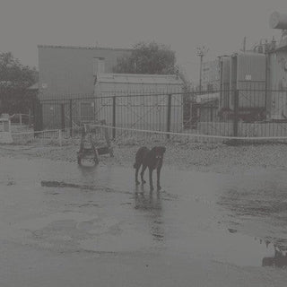 Nivhek- After Its Own Death / Walking In A Spiral Towards The House