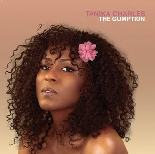 the album cover for Tanika Charles - The Gumption