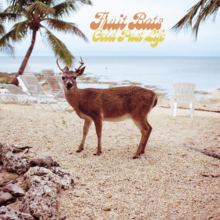 the album cover for Fruit Bats - Gold Past Life