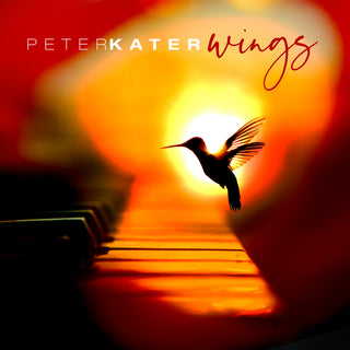 the album cover for Peter Kater - Wings