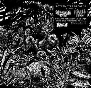 Cryptic Brood & Night Hag- Swollen With Rancid Phlegm