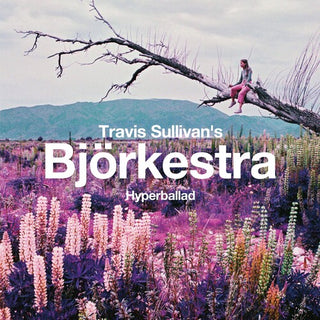 Travis Sullivan's Bjorkestra- Hyperballad / Venus As A Boy