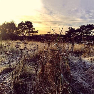 Ane Brun- Leave Me Breathless