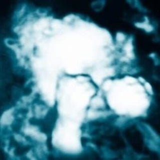 Sandra Monfort- Nino Reptil Angel