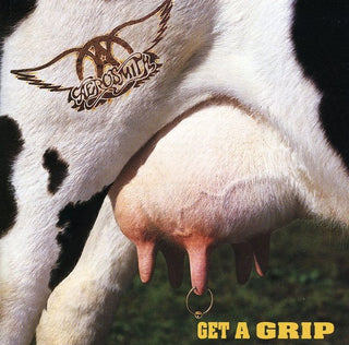 the album cover for Aerosmith - Get a Grip
