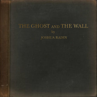 Joshua Radin- The Ghost And The Wall