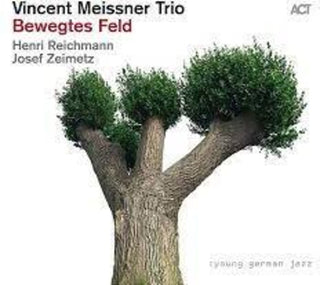 the album cover for Vincent Meissner  Trio - Bewegtes Feld (Aus)