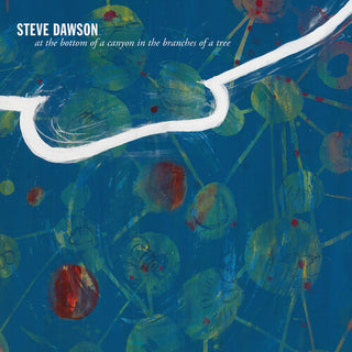 Steve Dawson- At The Bottom Of A Canyon In The Branches Of Tree (Vinyl)