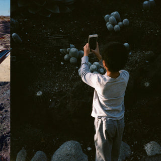 the album cover for Mega Bog - Life, and Another