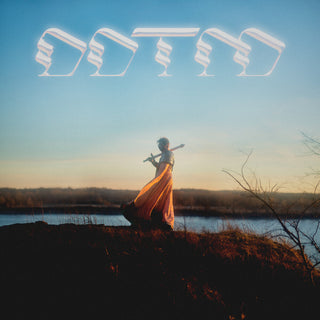 the album cover for Foxing - Draw Down The Moon