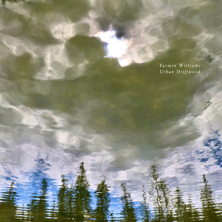 the album cover for Yasmin Williams - Urban Driftwood