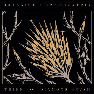 the album cover for Botanist / Thief - Cicatrix / Diamond Brush [Digipak]