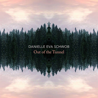 the album cover for Schwob - Out of the Tunnel