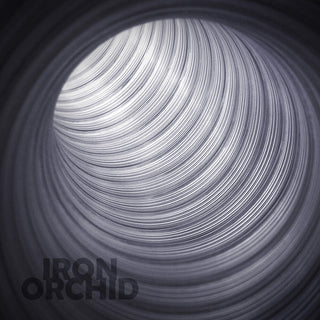 the album cover for Bird / Yu / Bird - Iron Orchid