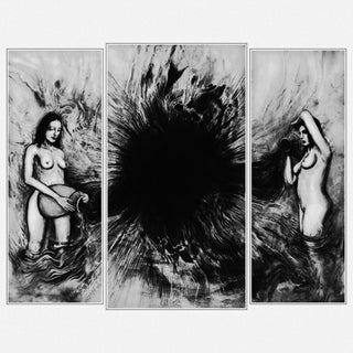 the album cover for Mannveira - Vitahringur