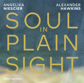 the album cover for Angelika Niesicer  / Hawkins,Alexander - Soul In Plain Sight