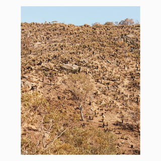 the album cover for Andrew Pekler  & Ielasi,Giuseppe - Palimpsests