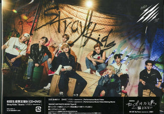 the album cover for Stray Kids - Scars / Thunderous (Sorikun) (Version B) (W/Dvd)