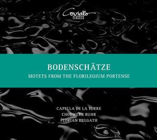 the album cover for Bodenschatze / Various - Bodenschatze / Various
