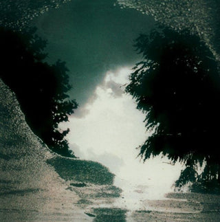 the album cover for Sad Lovers & Giants - Feeding The Flame