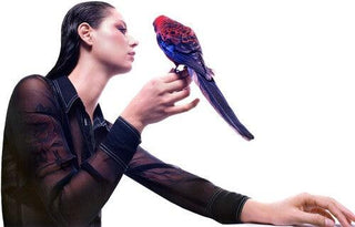 Grace Cummings- Storm Queen