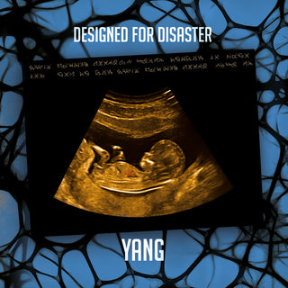 the album cover for Yang - Designed For Disaster