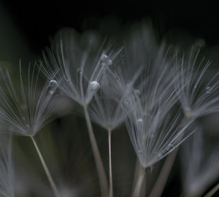 the album cover for Ian Boddy - Nevermore