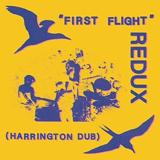 Chris Forsyth- First Flight Redux (Harrington Dub)