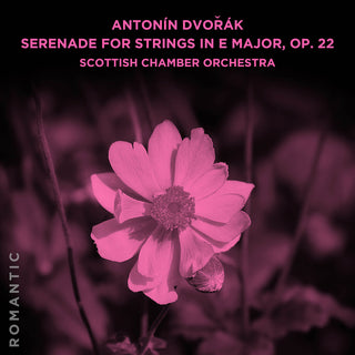 the album cover for Scottish Chamber Orchestra - Antonin Dvorak: Serenade For Strings In E Major Op