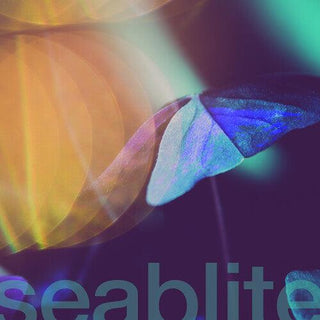 Seablite- Breadcrumbs